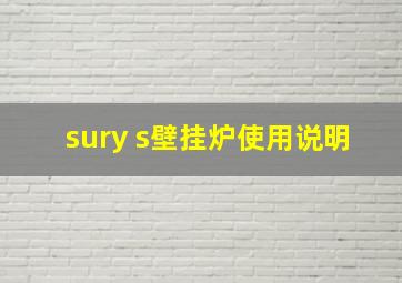 sury s壁挂炉使用说明